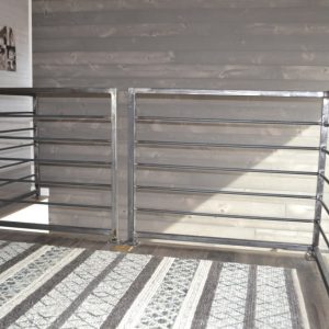 Modern-house-with-metal-railings